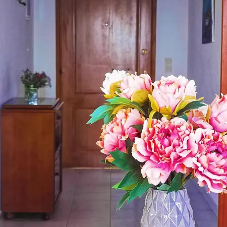 Irene Apartman Nidrí